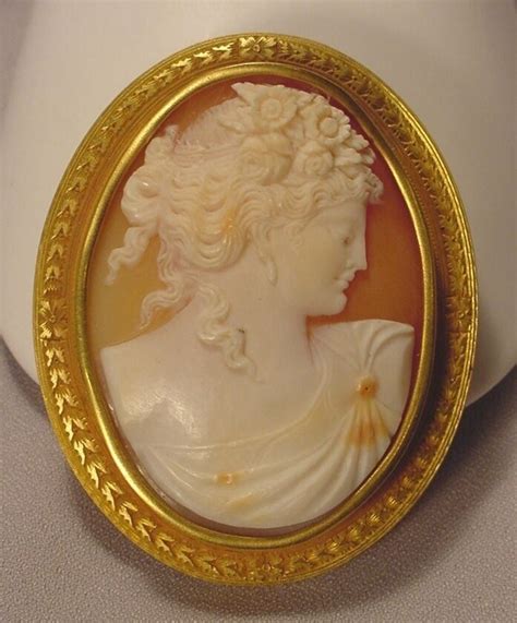 cameo bvdep|Cameo .